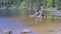 Archiv Foto Webcam Ufer Mummelsee 09:00