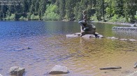 Archiv Foto Webcam Ufer Mummelsee 11:00