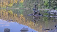 Archiv Foto Webcam Ufer Mummelsee 05:00