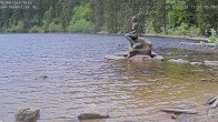 Archiv Foto Webcam Ufer Mummelsee 11:00