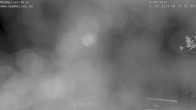 Archived image Webcam Lake Mummelsee - Black Forest 03:00