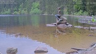 Archived image Webcam Lake Mummelsee - Black Forest 17:00
