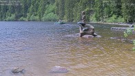 Archiv Foto Webcam Ufer Mummelsee 11:00