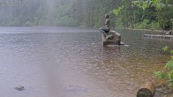 Archived image Webcam Lake Mummelsee - Black Forest 11:00