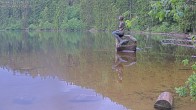 Archived image Webcam Lake Mummelsee - Black Forest 05:00