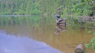 Archived image Webcam Lake Mummelsee - Black Forest 06:00