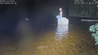 Archiv Foto Webcam Ufer Mummelsee 21:00