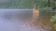 Archived image Webcam Lake Mummelsee - Black Forest 19:00