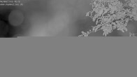 Archived image Webcam Lake Mummelsee - Black Forest 03:00
