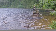 Archived image Webcam Lake Mummelsee - Black Forest 05:00