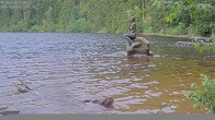Archived image Webcam Lake Mummelsee - Black Forest 06:00