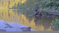 Archiv Foto Webcam Ufer Mummelsee 05:00