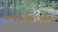 Archiv Foto Webcam Ufer Mummelsee 07:00