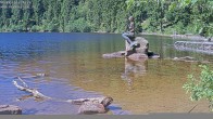 Archiv Foto Webcam Ufer Mummelsee 09:00