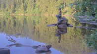 Archived image Webcam Lake Mummelsee - Black Forest 06:00