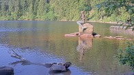 Archived image Webcam Lake Mummelsee - Black Forest 07:00