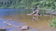 Archived image Webcam Lake Mummelsee - Black Forest 09:00