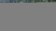 Archived image Webcam Lake Mummelsee - Black Forest 11:00