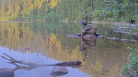 Archiv Foto Webcam Ufer Mummelsee 05:00