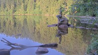 Archiv Foto Webcam Ufer Mummelsee 06:00