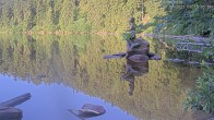 Archiv Foto Webcam Ufer Mummelsee 06:00