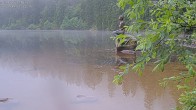 Archived image Webcam Lake Mummelsee - Black Forest 05:00