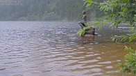 Archived image Webcam Lake Mummelsee - Black Forest 09:00