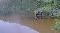 Archived image Webcam Lake Mummelsee - Black Forest 19:00