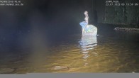 Archiv Foto Webcam Ufer Mummelsee 23:00