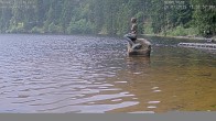 Archiv Foto Webcam Ufer Mummelsee 11:00
