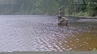 Archiv Foto Webcam Ufer Mummelsee 13:00