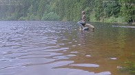 Archived image Webcam Lake Mummelsee - Black Forest 15:00