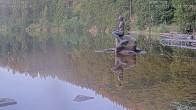 Archiv Foto Webcam Ufer Mummelsee 05:00