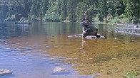 Archiv Foto Webcam Ufer Mummelsee 11:00