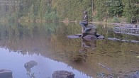 Archiv Foto Webcam Ufer Mummelsee 05:00