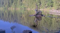 Archiv Foto Webcam Ufer Mummelsee 07:00