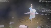 Archiv Foto Webcam Ufer Mummelsee 23:00