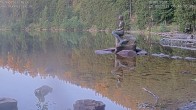 Archiv Foto Webcam Ufer Mummelsee 05:00