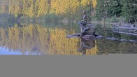 Archiv Foto Webcam Ufer Mummelsee 06:00