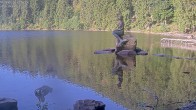 Archiv Foto Webcam Ufer Mummelsee 07:00