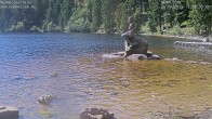 Archiv Foto Webcam Ufer Mummelsee 11:00