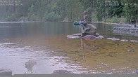 Archiv Foto Webcam Ufer Mummelsee 17:00