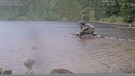 Archiv Foto Webcam Ufer Mummelsee 09:00