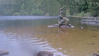 Archived image Webcam Lake Mummelsee - Black Forest 16:00
