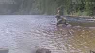 Archived image Webcam Lake Mummelsee - Black Forest 11:00