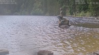 Archived image Webcam Lake Mummelsee - Black Forest 12:00