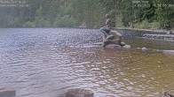 Archived image Webcam Lake Mummelsee - Black Forest 17:00
