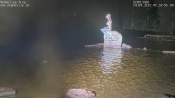 Archiv Foto Webcam Ufer Mummelsee 23:00