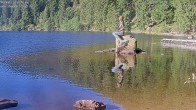 Archived image Webcam Lake Mummelsee - Black Forest 08:00