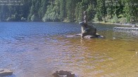 Archived image Webcam Lake Mummelsee - Black Forest 11:00